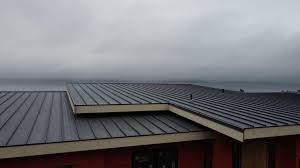 Steel Roofing in Williamston, SC